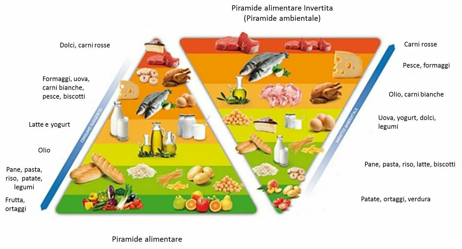 Piramide alimentare e piramide ambientale a confronto