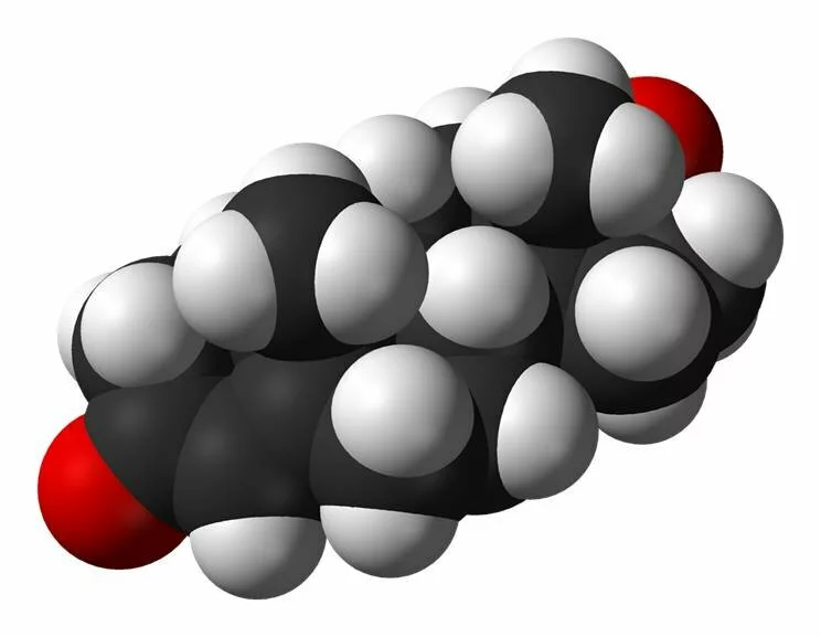 Molecola di testosterone